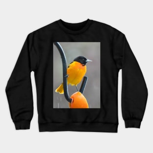 Male Oriole in light rain Crewneck Sweatshirt